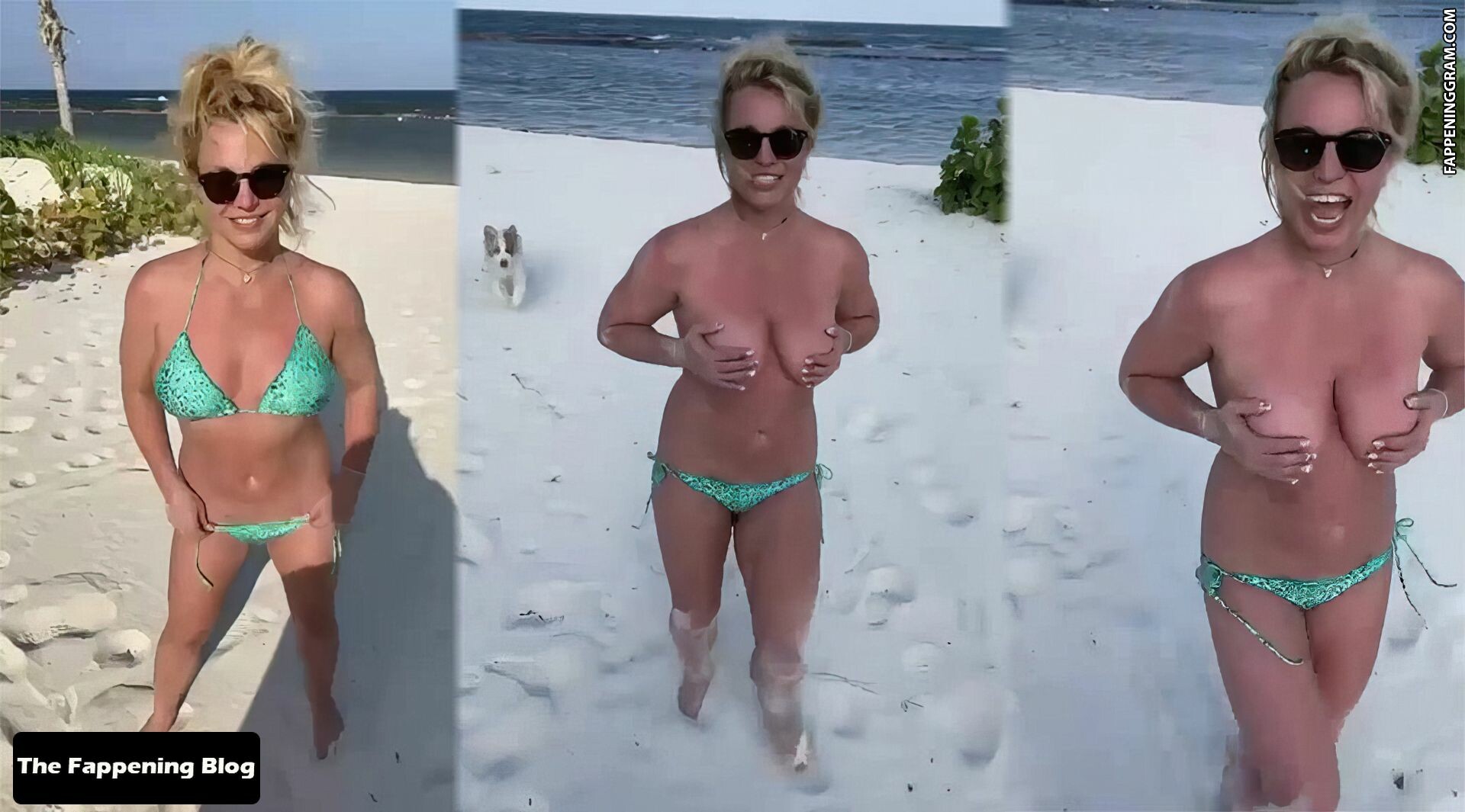 Brittney spears nude beach