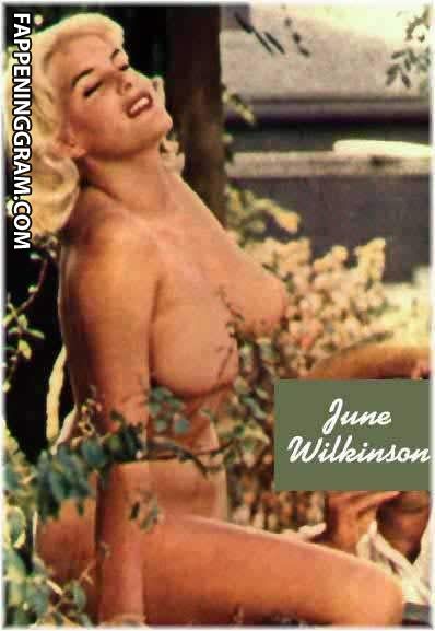June Wilkinson Nude