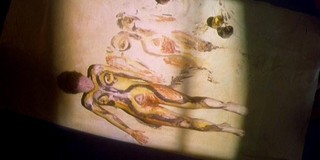 Karyn Dwyer Nude Leaks