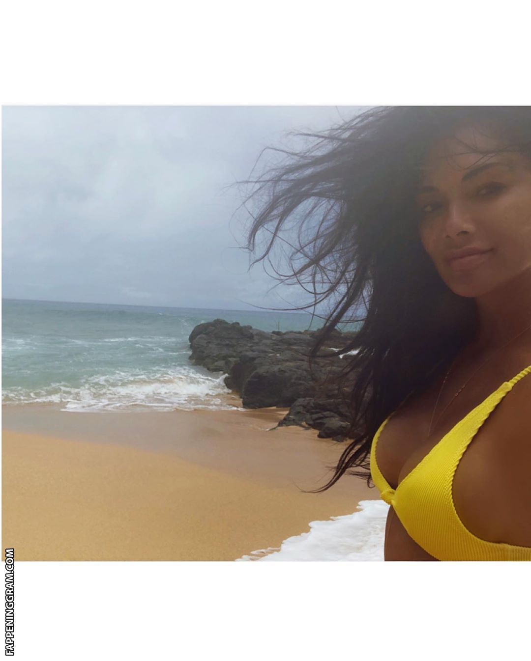 Nicole Scherzinger Fakes